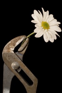 a wrench holding a flower