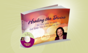 Healing the Divine: Six Soul-level Wounds that Keep You from Serving the World