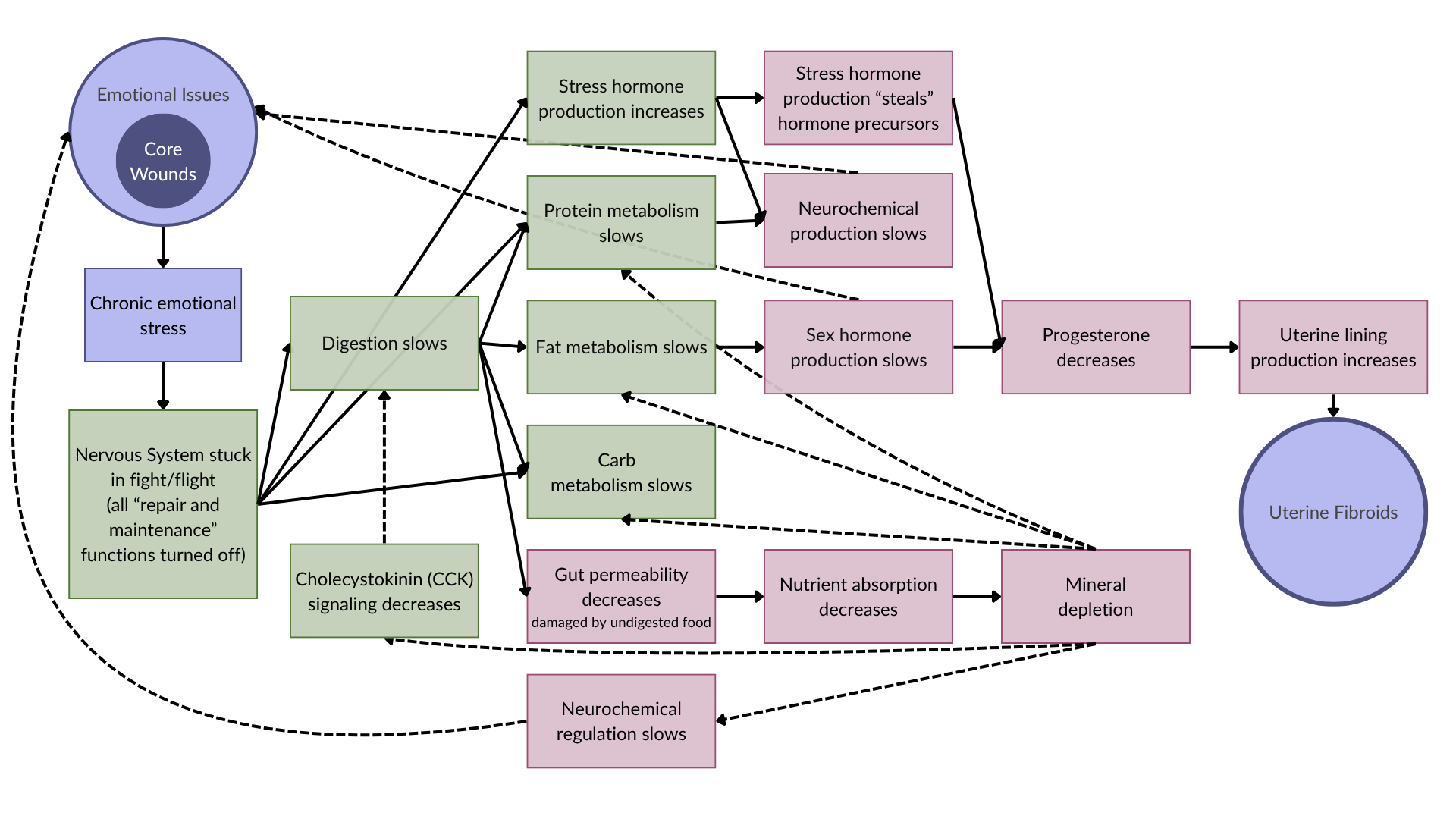 Diagram for Fibroids flow diagram showing how uterine fibroids get created; for summary, see text that follows
