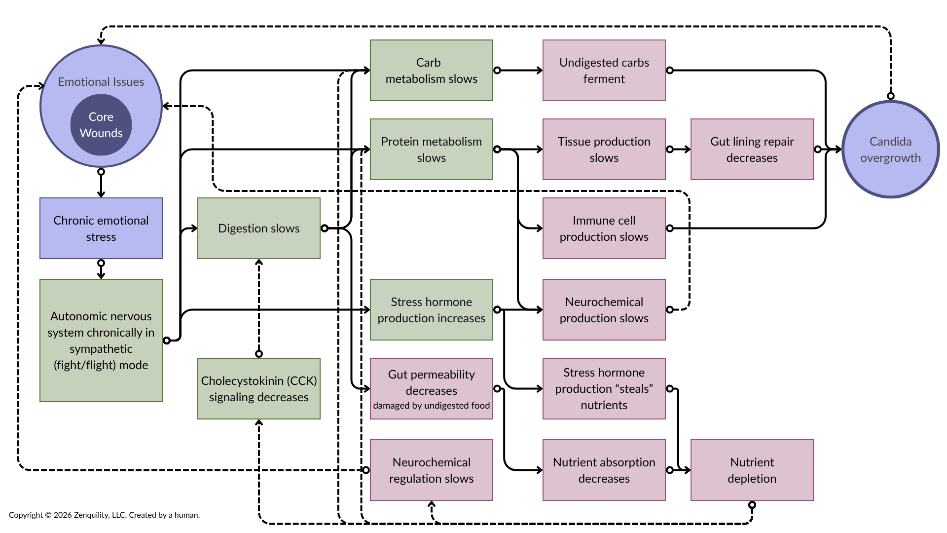 flow chart showing how Candida overgrowth is caused and perpetuated; for summary, see text above