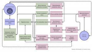 flow chart showing how uterine fibroids get created; for summary, see preceding text