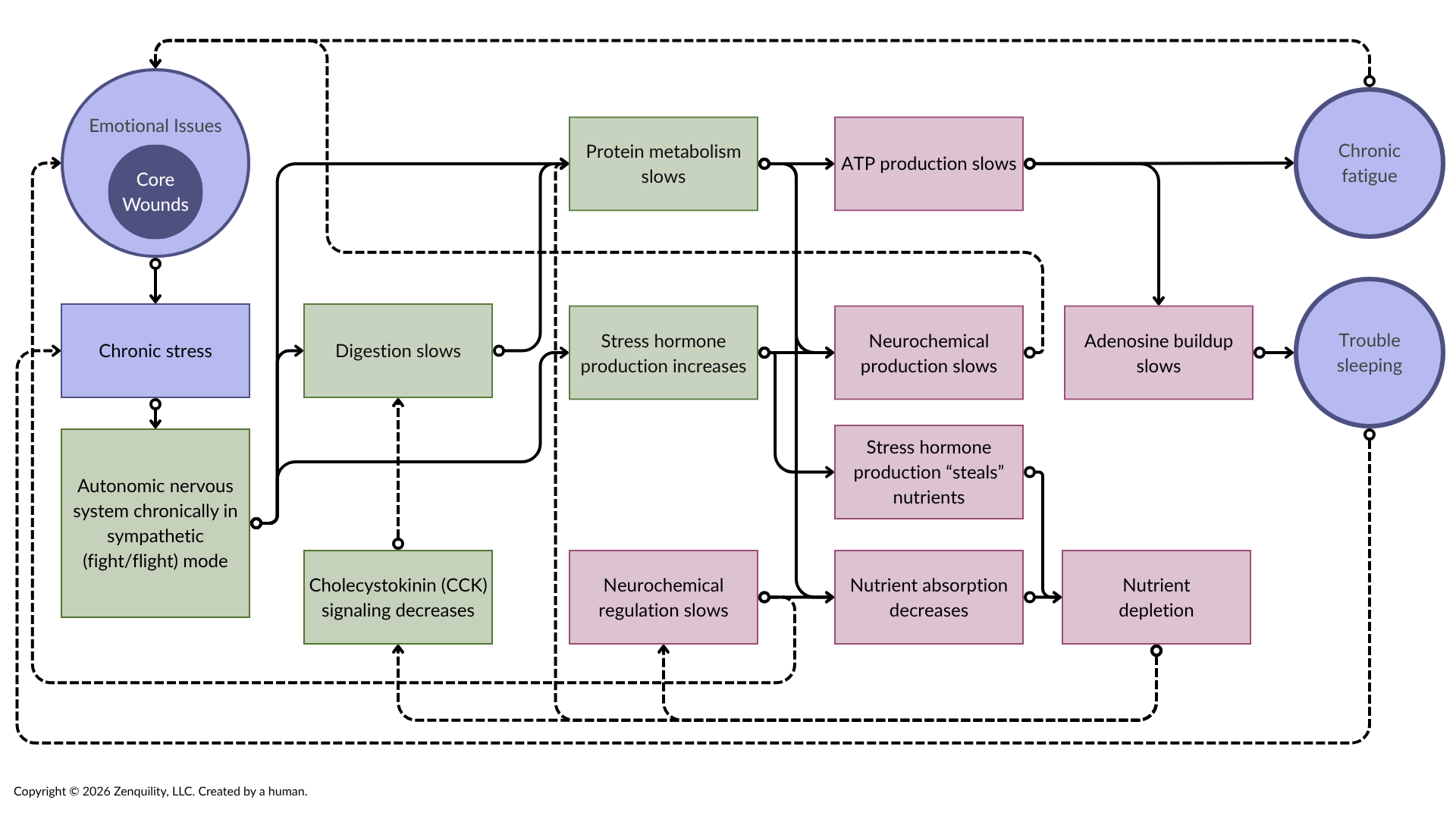 flow chart showing how chronic fatigue is caused and perpetuated; for summary, see text above